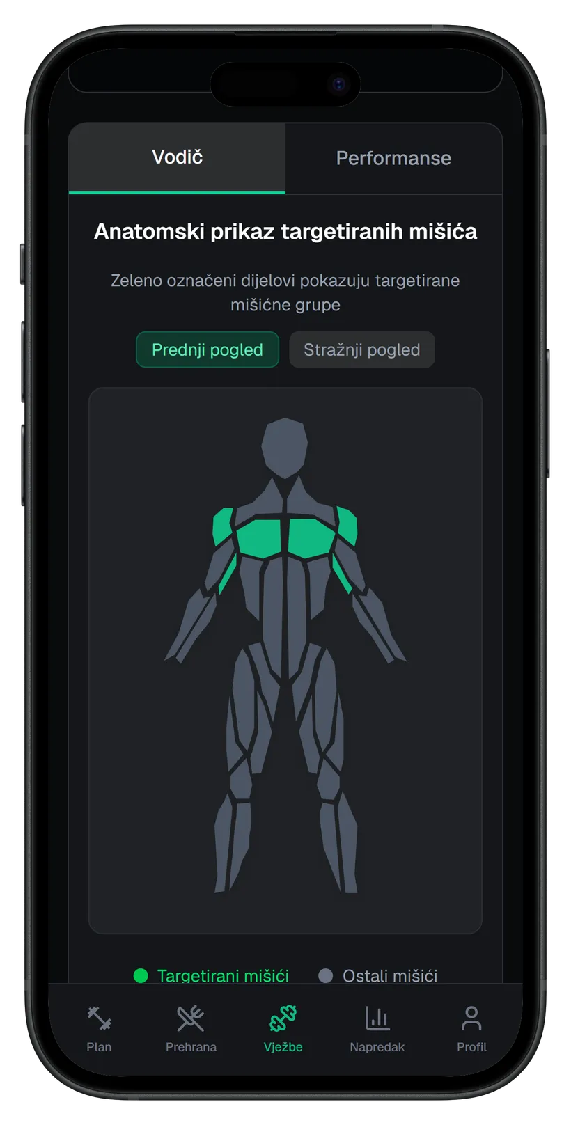 Anatomski prikaz targetiranih mišića